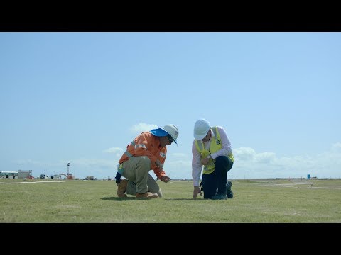 Brisbane's New Runway - Stolonisation