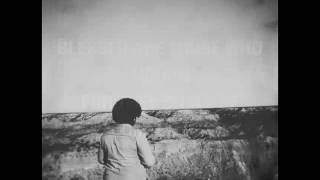 Thy Will by Hillary Scott