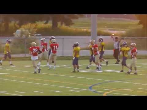 PUNTS INSIDE THE 20 2016