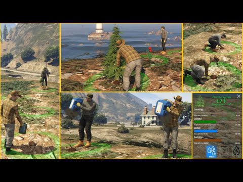 PLT | Planting System