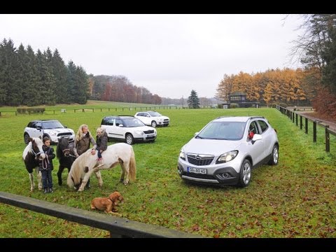 Countryman, Yeti, Mokka, ASX - Who builds the best pony SUV?