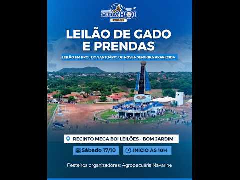 LEILAO EM PROL DO SANTUARIO DE NOSSA SENHORA APARECIDA - BOM JARDIM DE GOIÁS 17/10/2026