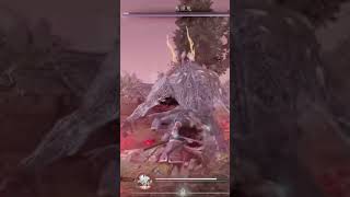 欲張り禁止 #仁王3 #nioh3