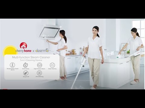 Пароочиститель Deerma Multi-function Steam Cleaner 1600W White (DEM-ZQ610)_