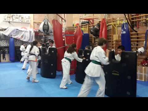 2017 10 11 Shihan Jesús Talán - Shinkyokushin - Power Shinkyokushin kids