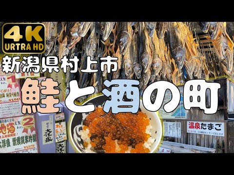 [Ciudad de Murakami, Prefectura de Niigata] Tour por Murakami, la ciudad del salmón y el sake