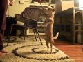 Rosie Dancing Clip 2