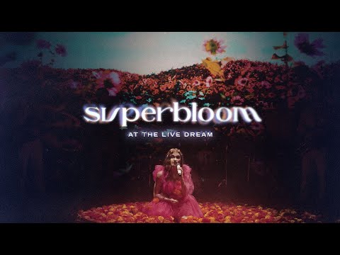 MisterWives - SUPERBLOOM (at the Live Dream)