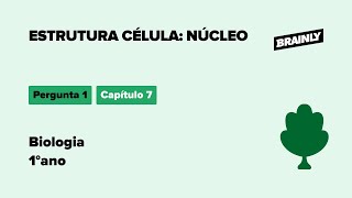 Qual A Diferença Entre As Células Procariontes E Eucariontes Brainly