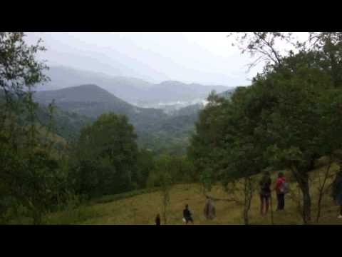 PLOPU 28  Vazut de Adryan_Partea 1