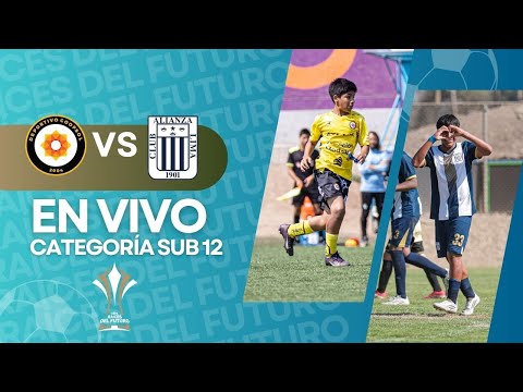 Deportivo Coopsol vs Alianza Lima | Categoría 2013 | Copa Raíces del Futuro