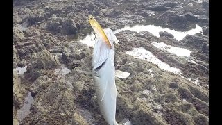 Pescando a paseante cuando otras opciones resultan casi imposibles