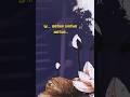 Oh Mane Tamilsongs Ilayaraja Prabhu Ambika Spb Janaki Sjanaki Tamilsonglyrics 80s