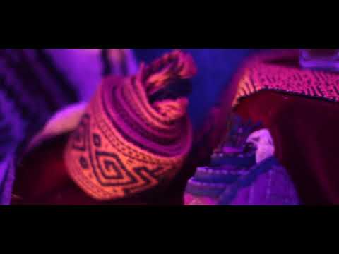 Canta Pajarito - ALTAMAGIA - Brilla un Colibri