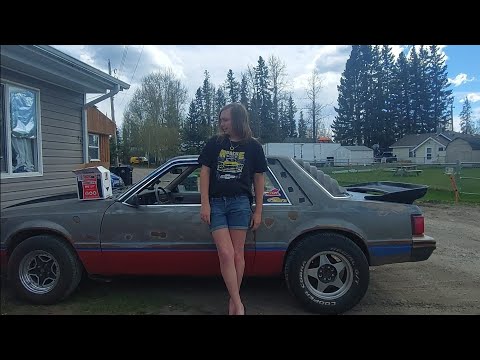 What's wrong with my 1986 mustang and what I found on my 1981 mustang. Plus a partnership and more!