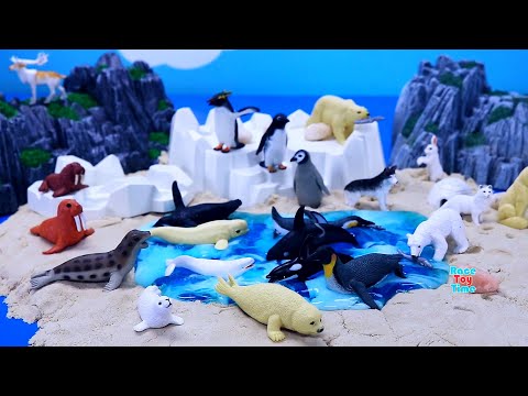 Arctic and Antarctica Animal Figurines Diorama