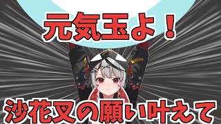 ドラゴンボールの認識がちょっと違う沙花叉クロヱ【ホロライブ切り抜き/沙花叉クロヱ】