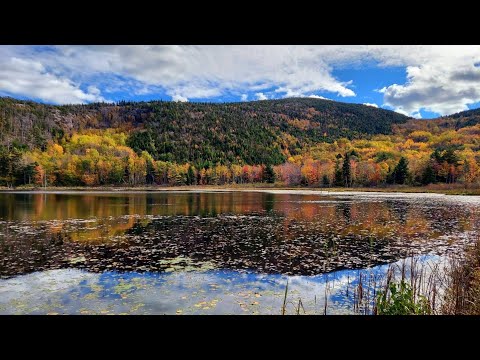 The Fall of Acadia | Fall Colors | Autumn in Acadia National Park
