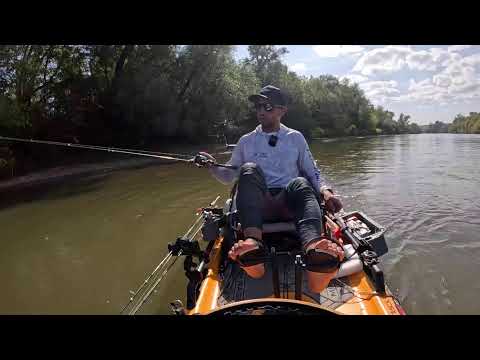 Live din caiac de prin sălbăticia Mureșului-CONTINUARE