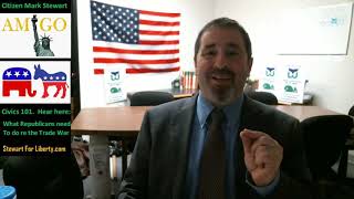 DEC 3 mark Stewart Greenstein - what Republicans must do