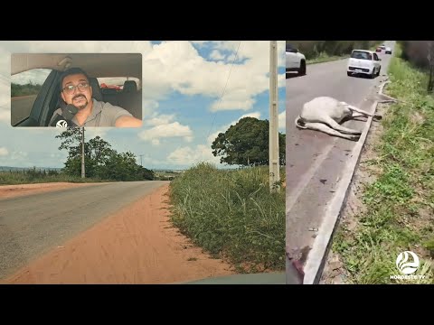 🚨 ACIDENTE NA RN-003 EM GOIANINHA 🚨
