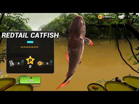 Fishing Clash - Amazon event with rod lv7 catching