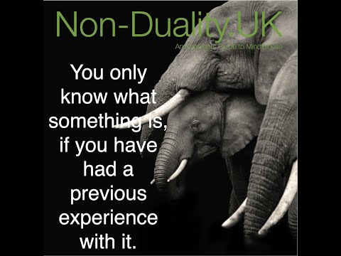 The illusion of a separate self - Bite size 35 - non duality explained