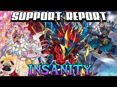 Support Report 2023 - Part 3: Insanity