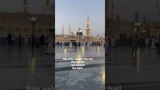 One visit endless peace