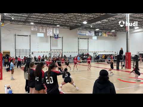Windy City Power League (open division) FEB 2026
