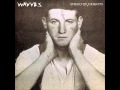 Wavves - Paranoid 