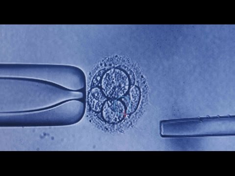 Future Baby - Stikla