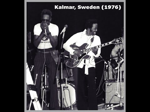 Big Walter Horton & Eddie Taylor @ Kalmar, Sweden (1976)