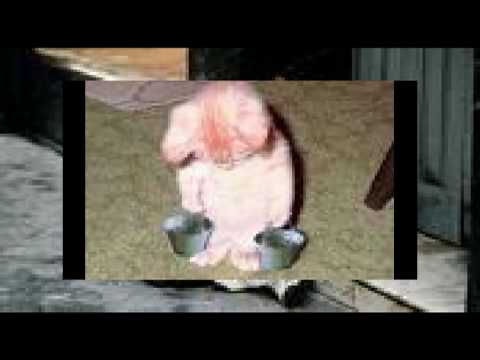 Christiam1’s Video 29270472316 6XplTNTdPEY