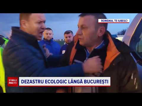Dezastru ecologic pe un lac din Corbeanca. Motivul pentru care mii de pești au murit