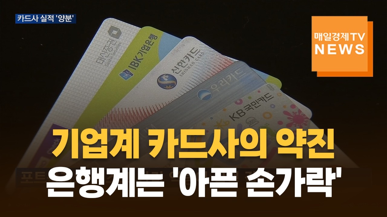 기업계 카드사의 약진…은행계 '아픈 손가락'
