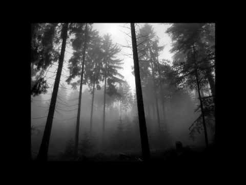 Indelible scars (Original lyrics on a Samael's track)