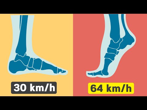 3rd YouTube video about how far can the average person run