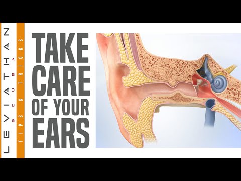 Caring for Your Ears When You Dive - Sound Advice About Ear Care.