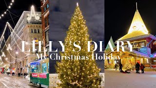 フィンランドで過ごすクリスマス前夜🎄オーロラ💫|クリスマスマーケット🍷|サンタクロース村🎅