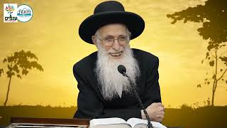 הרב יהודה יוספי - פרשת קרח | הסוף למחלוקת! (ארגון ענפים) - התמונה מוצגת ישירות מתוך אתר האינטרנט יוטיוב. זכויות היוצרים בתמונה שייכות ליוצרה. קישור קרדיט למקור התוכן נמצא בתוך דף הסרטון