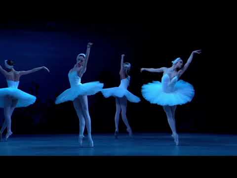 SWAN LAKE - Dance of the Big Swans - Act 2 (Mariinsky Ballet)