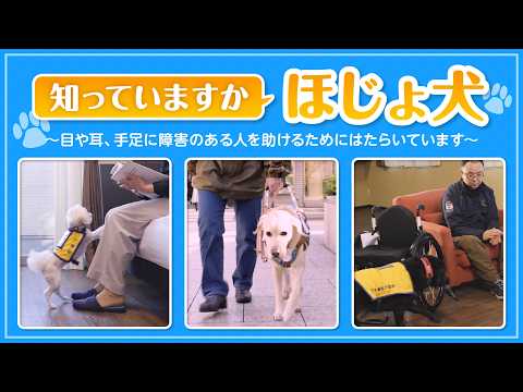 知っていますか？補助犬（小学生向け・普及啓発用）