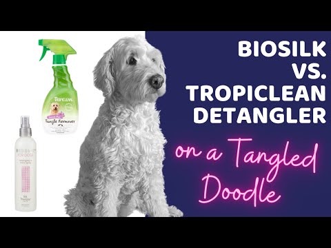 Biosilk vs. Tropiclean Dog Detangler Spray on a...