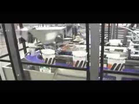 Massman Automation HFS IM Flexible Pouch Packager