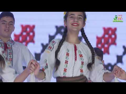 Ansamblul Brâuleț - Hora de la Sud