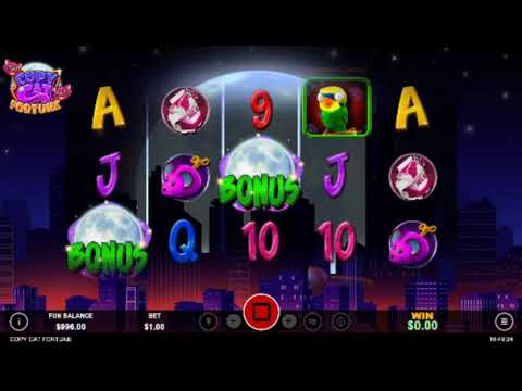 Copy Cat Fortune – Video Gameplay