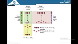 Distribuição dos fármacos (continuação)