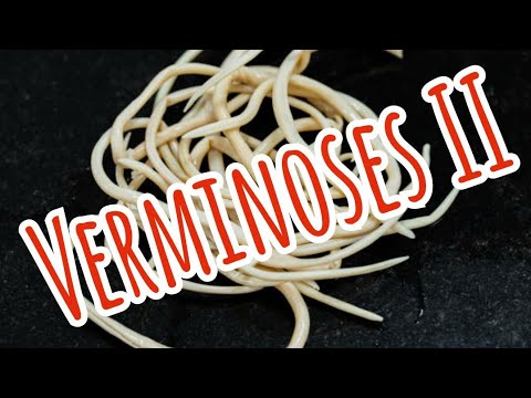 Verminoses II