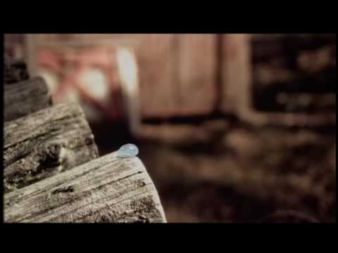 Electricity video thumbnail